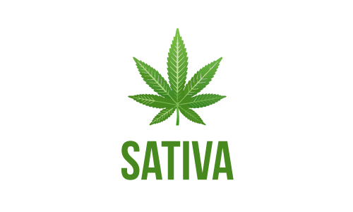 Strain Sativa