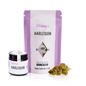Tom Hemps CBD Blüten Harlequin